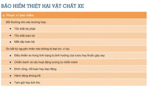 bao-hiem-xe-may